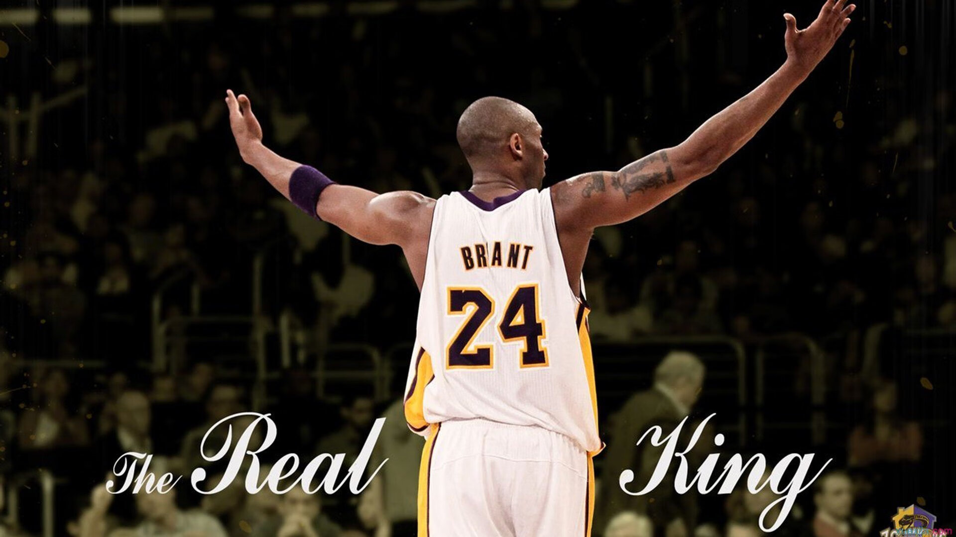 开云-赛道与球场的终极对决，是什么让维斯塔潘与约基奇同时封神？